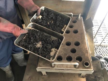 Divided sample for moisture test